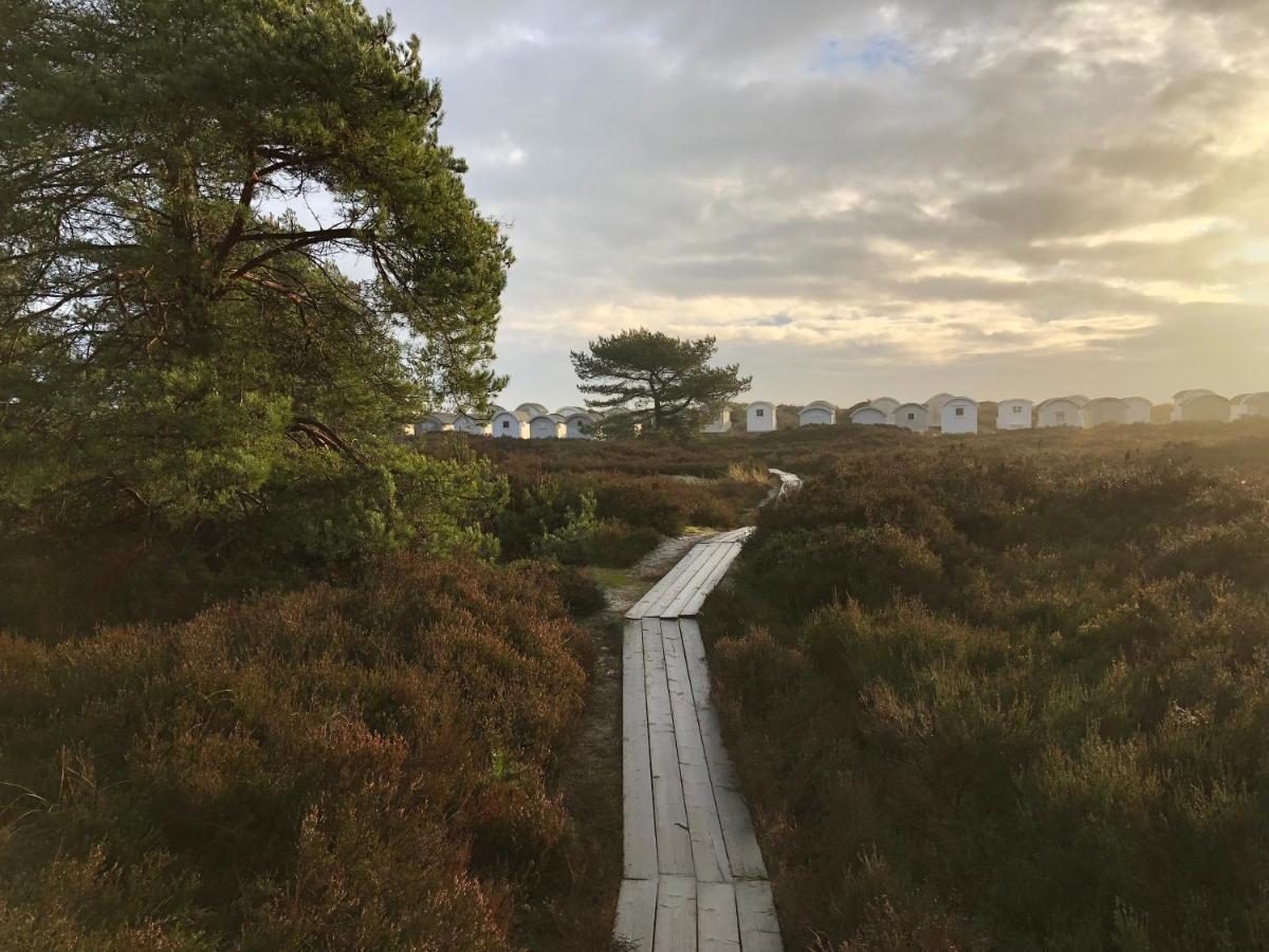 Ljunghusen Guesthouse Ljungskogen 외부 사진